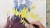 IMG_0070.jpeg
