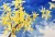 IMG_0109.jpeg