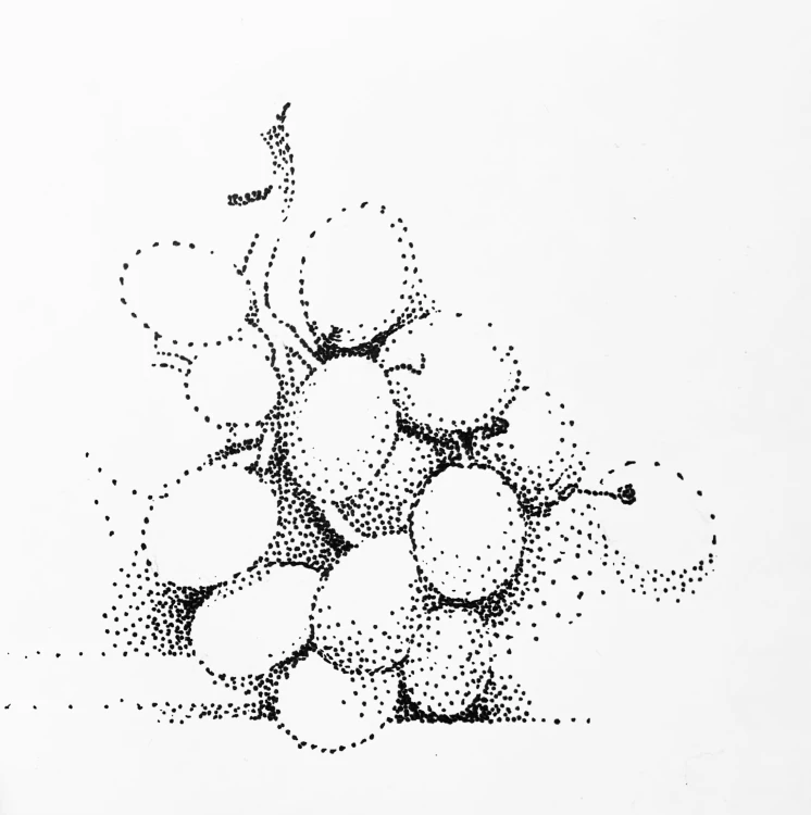 IMG_0202.jpeg