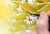 IMG_0790.jpeg